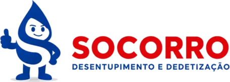 Logo Desentupidora em Palhoça